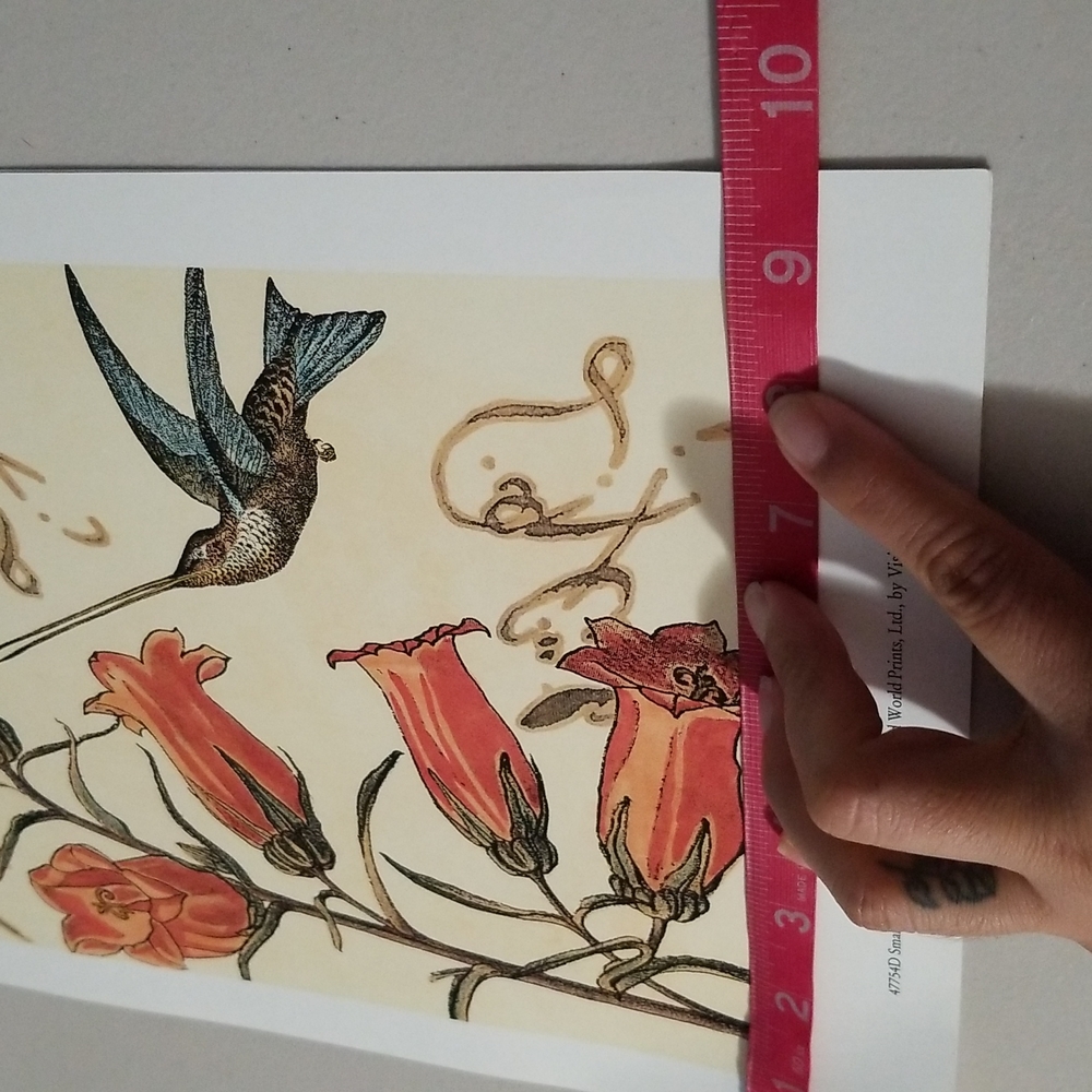 Hummingbird Prints - Picture 6 of 6